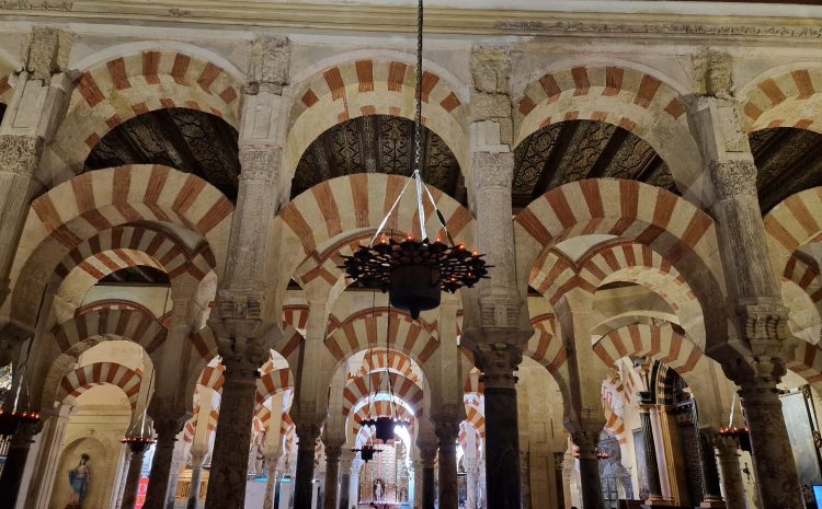 WhatsApp Image 2025-05-26 at 11.26.57_17830670